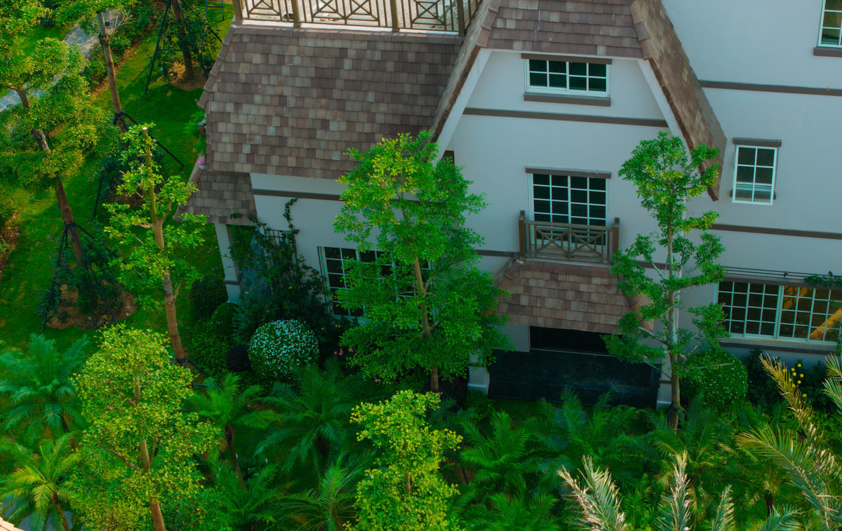 Không gian xanh bao trùm The Grand Island. Ảnh: Thanh Sơn