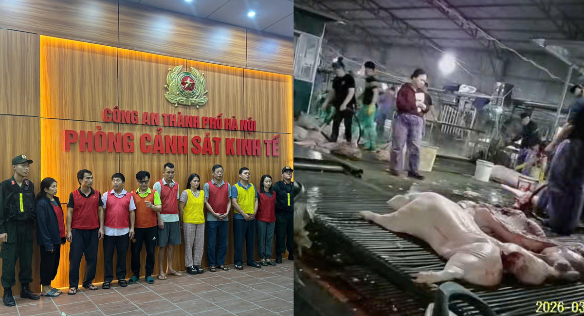 Lực lượng CSĐT CATP đã đấu tranh, triệt phá vụ án tuồn hàng trăm tấn thịt lợn bẩn. Ảnh: Đạt Lê