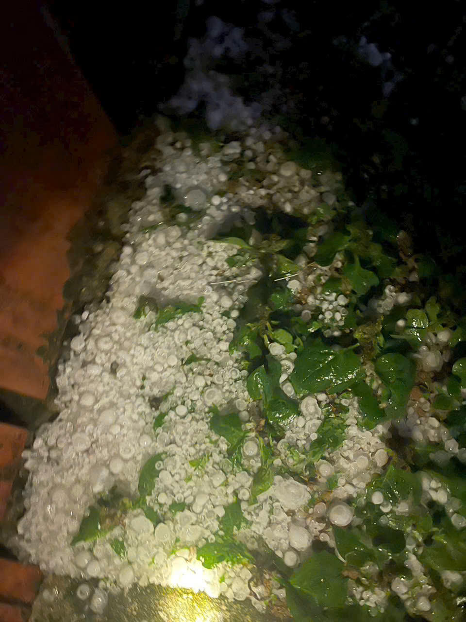 Mưa đá dữ dội đã gây thiệt hại lớn về người và tài sản. Ảnh: Trọng Đạt.