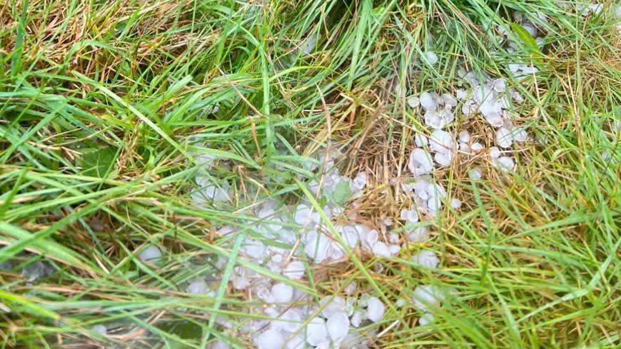 Mưa đá xuất hiện trên địa bàn xã Tu Mơ Rông gây thiệt hại hoa màu của người dân. Ảnh: CV.