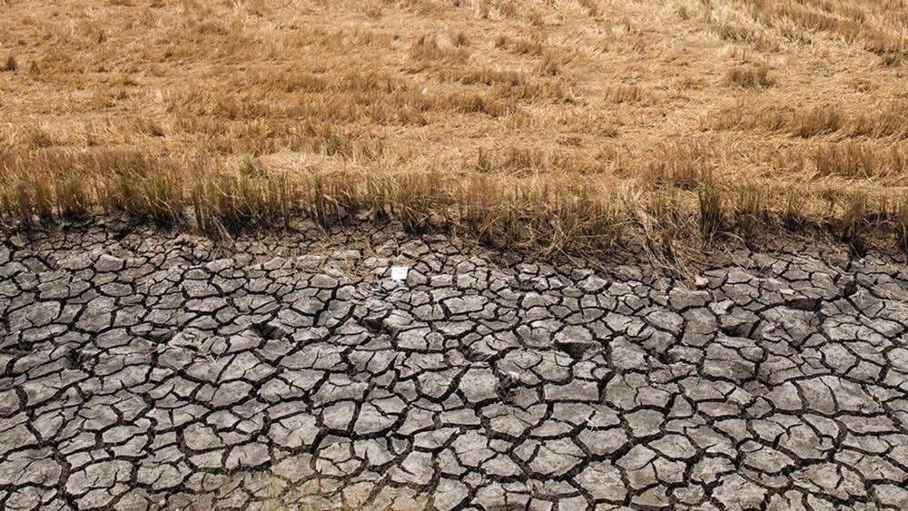 Hiện tượng El Nino có thể gây thiếu nước và hạn hán. Ảnh minh họa: mtcs