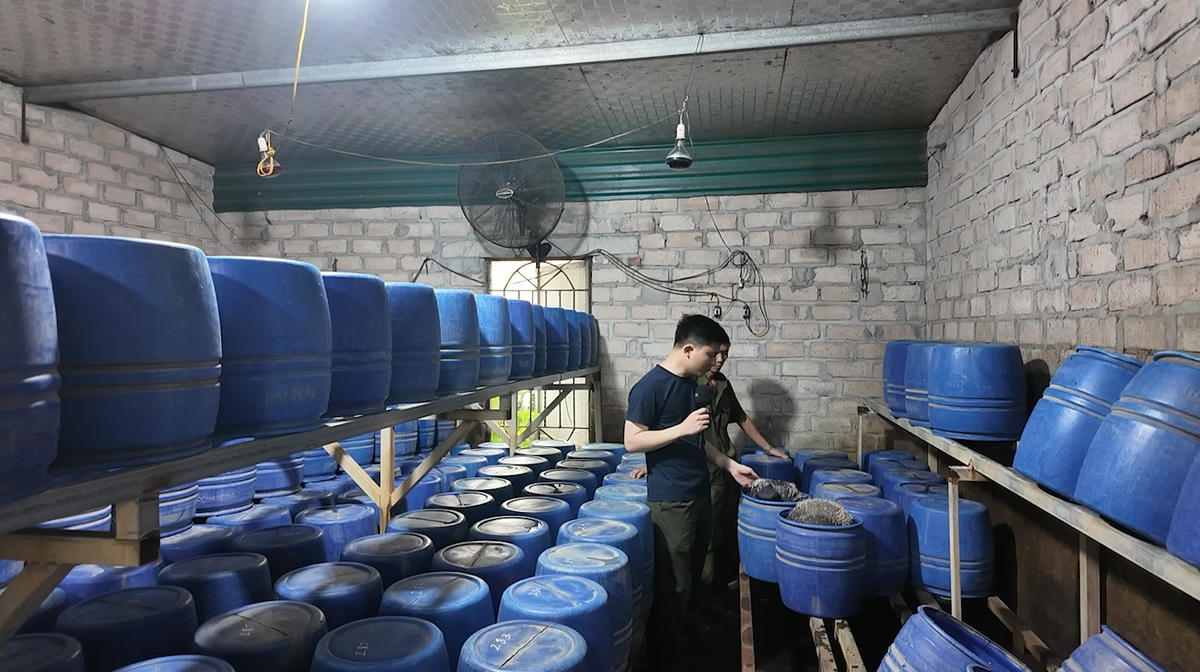 Không gian bên trong xưởng sản xuất giá đỗ trái phép tại phường Mạo Khê.&nbsp;Ảnh: Công an Quảng Ninh.