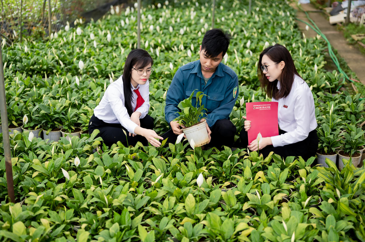 Agribank hướng dòng vốn vào lĩnh vực nông nghiệp xanh