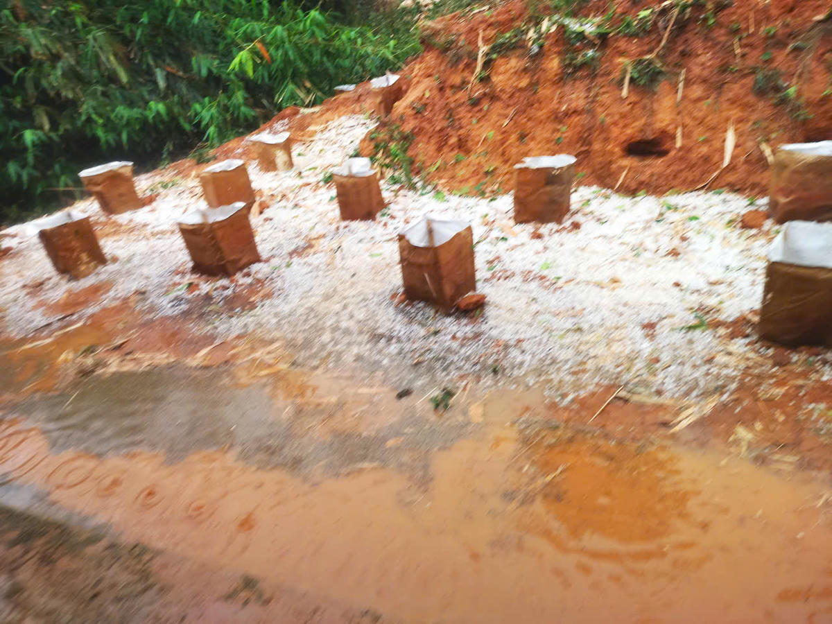 Sơn La: Mưa đá gây thiệt hại tại xã Phiêng Cằm