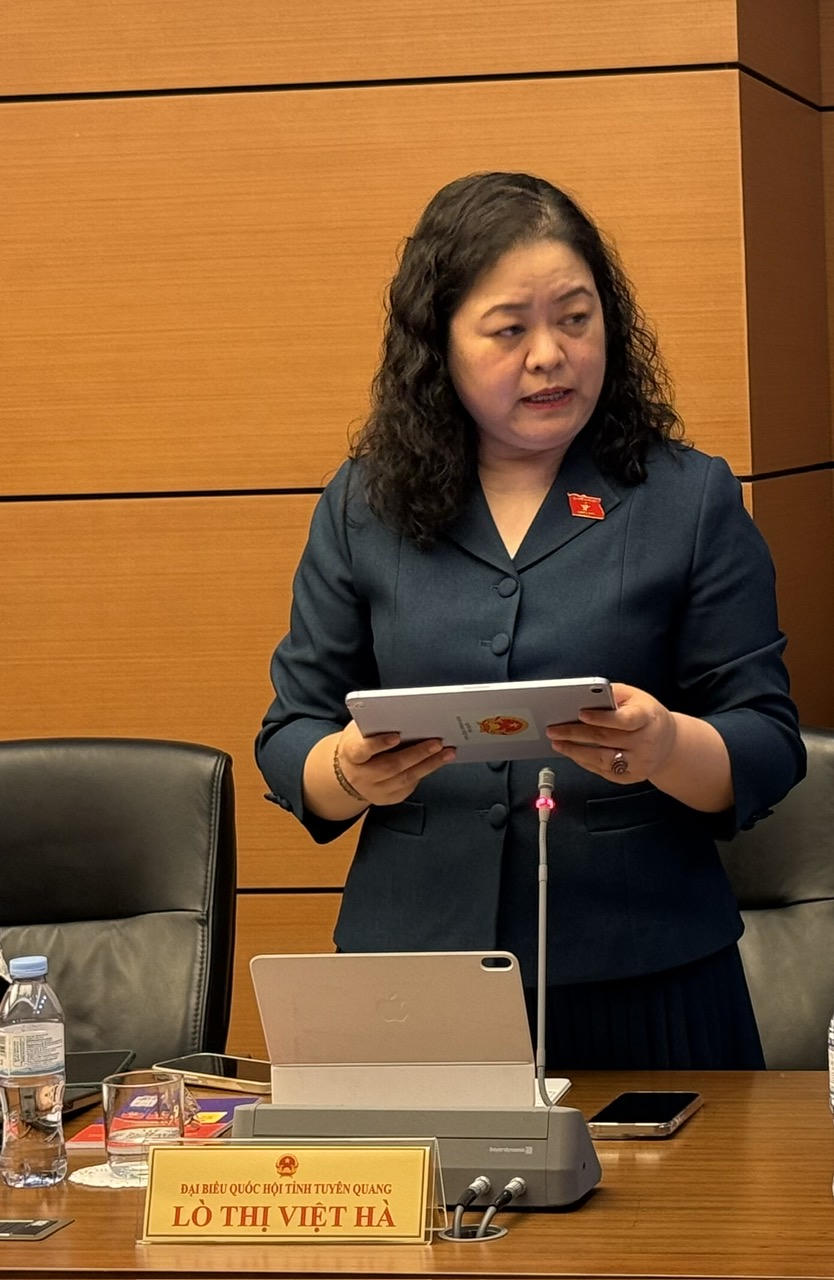 Bà Lò Thị Việt Hà phát biểu tại Tổ (Ảnh: Việt Thắng)