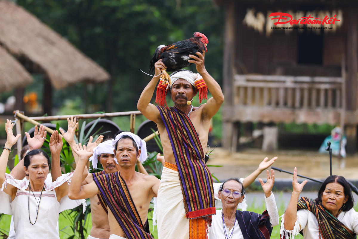 Già làng hiến lễ lấy máu gà bôi cây nêu trước khi dựng nêu. Ảnh: Quang Vinh.