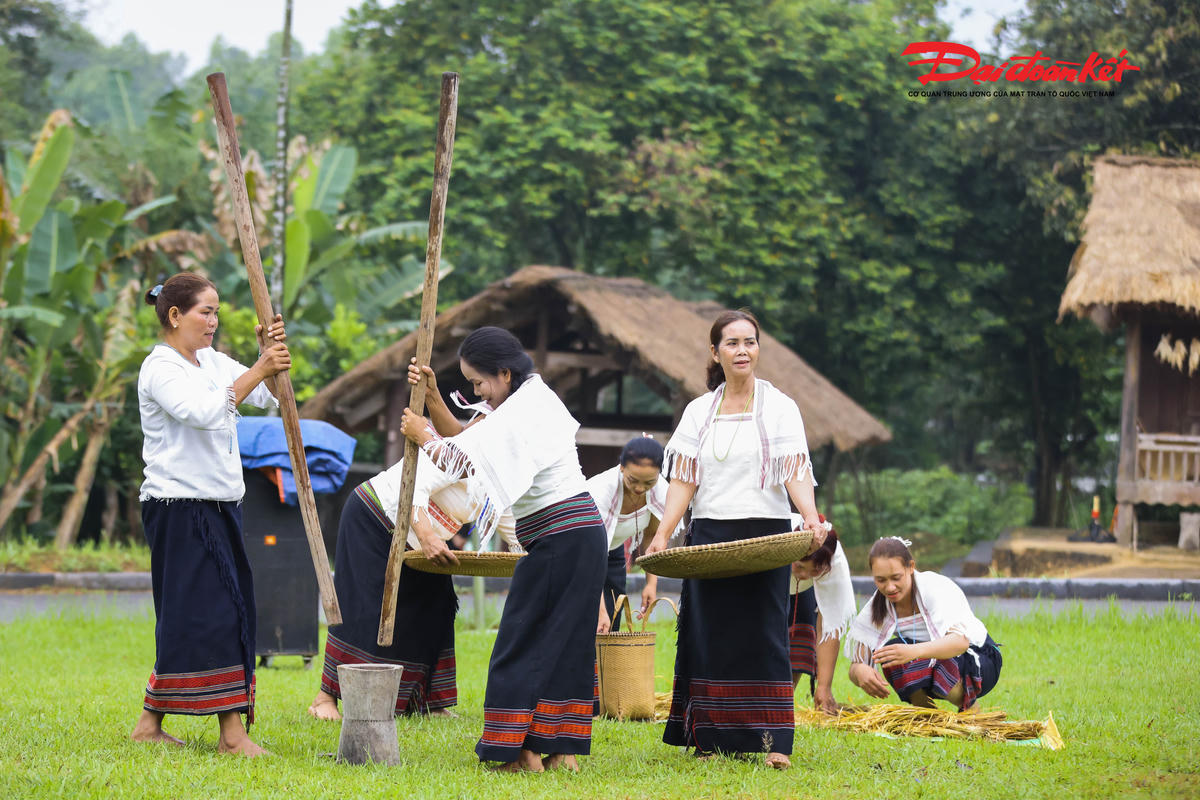 Đồng bào Chu Ru thực hiện nghi lễ giã gạo trong lễ mừng lúa mới.Ảnh: Quang Vinh.
