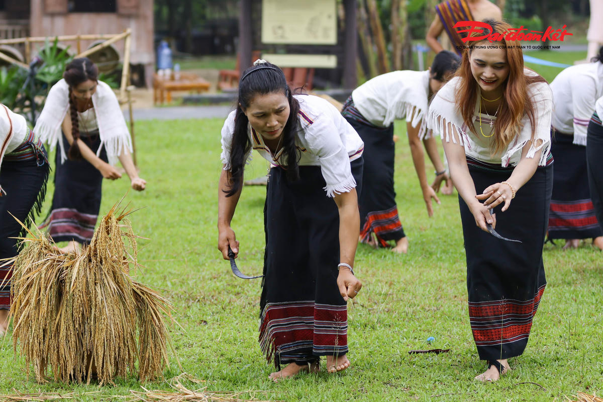 Bà con và các hộ có ruộng tiến hành nghi lễ theo phong tục của người Chu Ru. Ảnh: Quang Vinh.