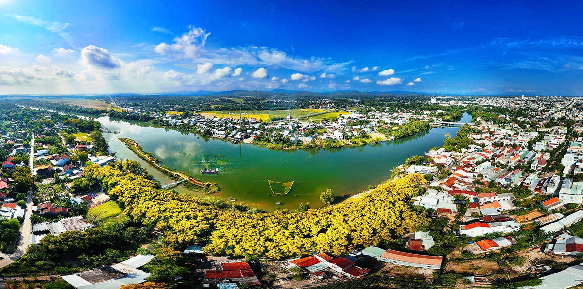 Đà Nẵng: Hương Trà rực rỡ mùa hoa sưa