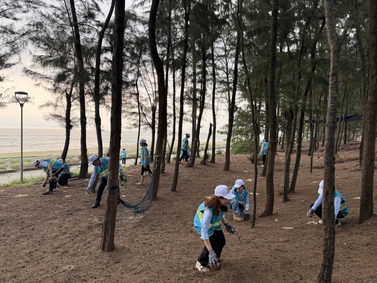 Đà Nẵng: Đồng loạt ra quân dọn vệ sinh môi trường 