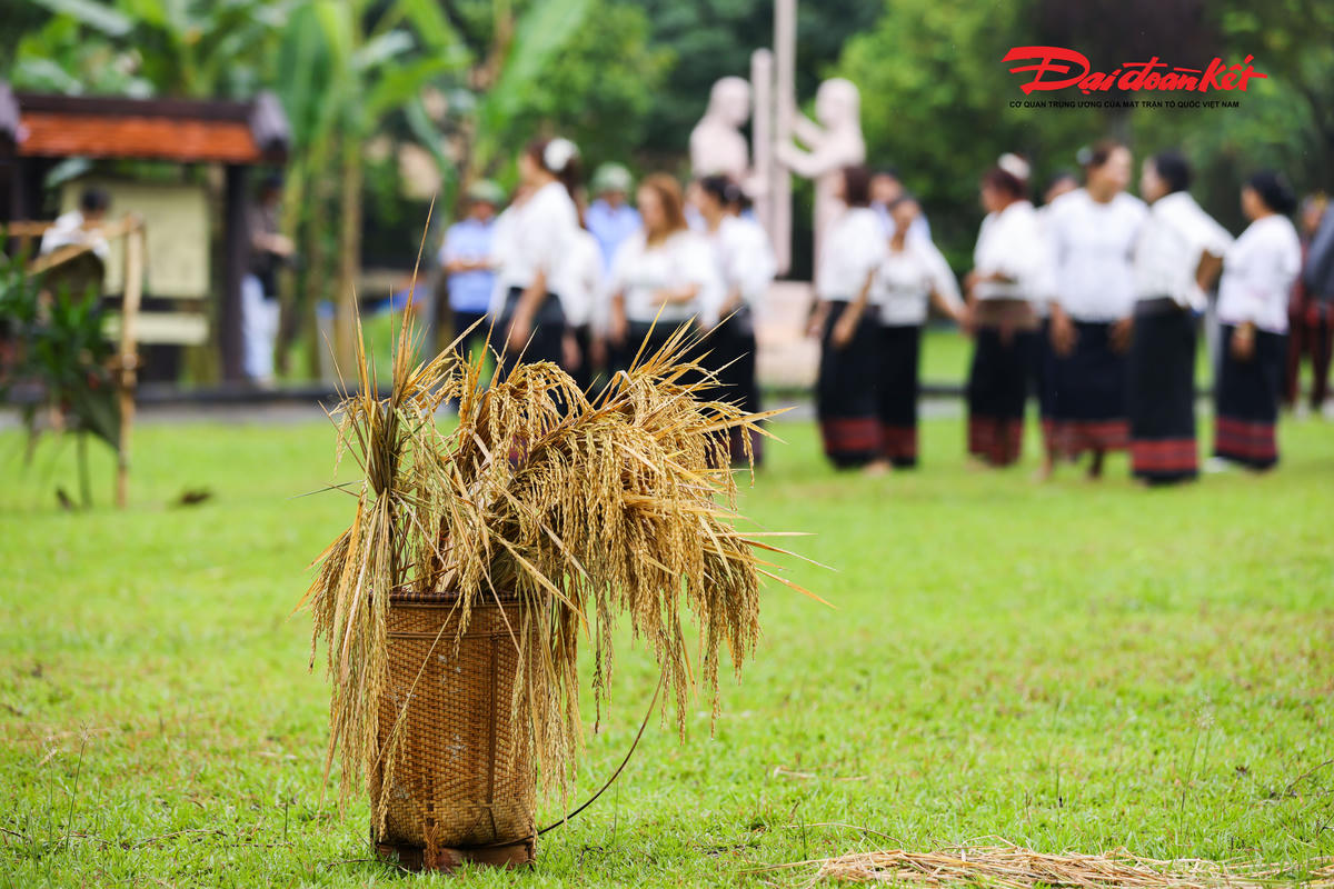 Bó lúa là một trong những lễ vật cúng trong&nbsp;lễ mừng lúa mới của người Chu Ru. Ảnh: Quang Vinh.