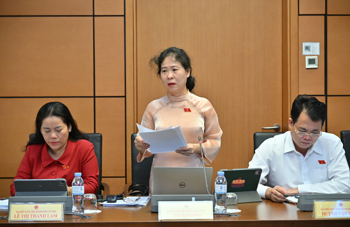 Bà Tô Ái Vang phát biểu (Ảnh: Quang Vinh)