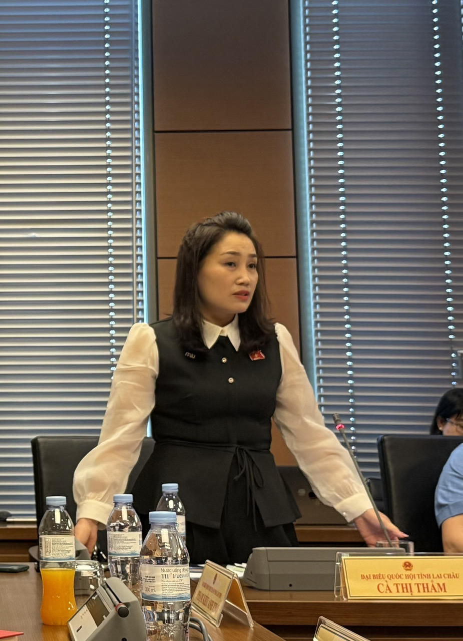 Đại biểu Quốc hội Cà Thị Thắm (Đoàn Lai Châu) phát biểu.