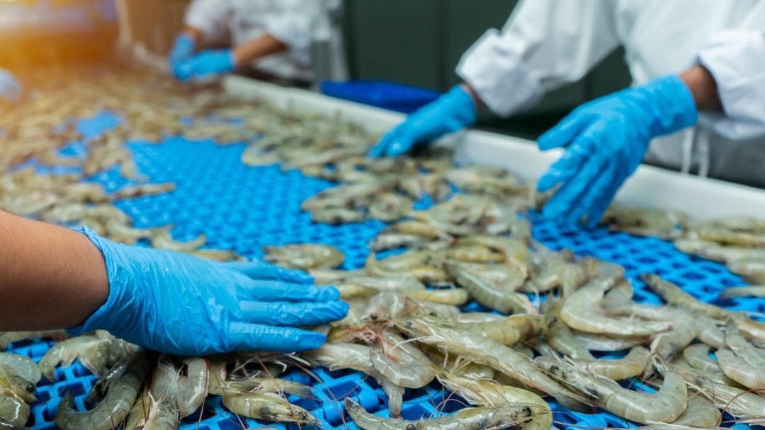 Ngành tôm đối mặt nhiều thách thức