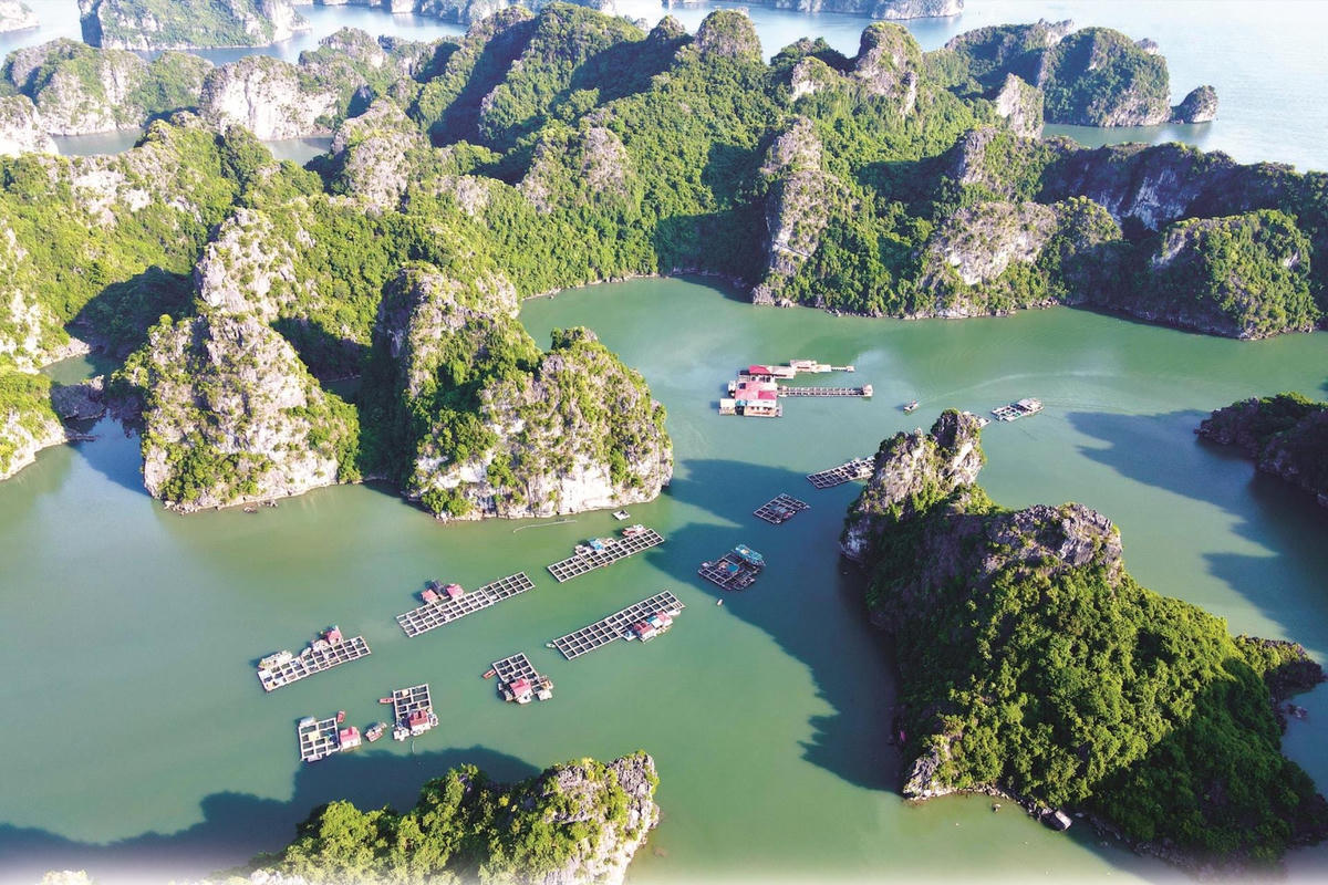 Thủ tướng Chính phủ đã phê duyệt nhiệm vụ lập Quy hoạch bảo quản, tu bổ, phục hồi Di tích quốc gia đặc biệt Danh lam thắng cảnh vịnh Hạ Long (tỉnh Quảng Ninh). Ảnh: Ngọc Anh.