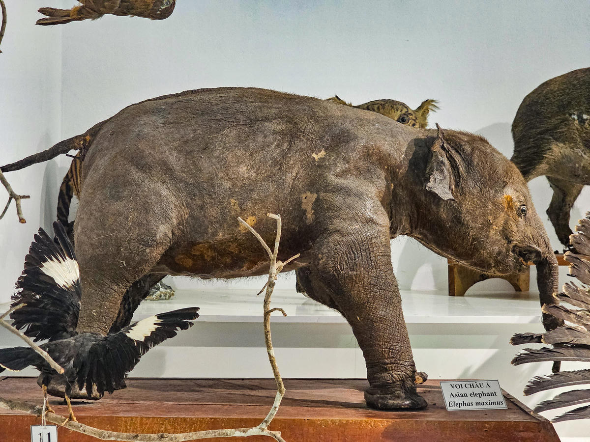 Về nơi lưu giữ bộ xương người tiền sử hơn 7.500 năm 