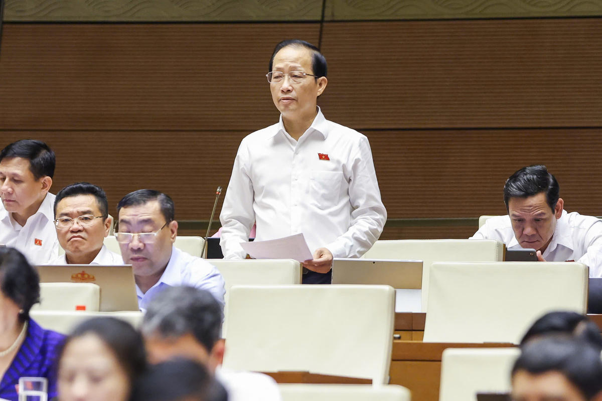 Đại biểu Nguyễn Trúc Sơn, đoàn Vĩnh Long phát biểu