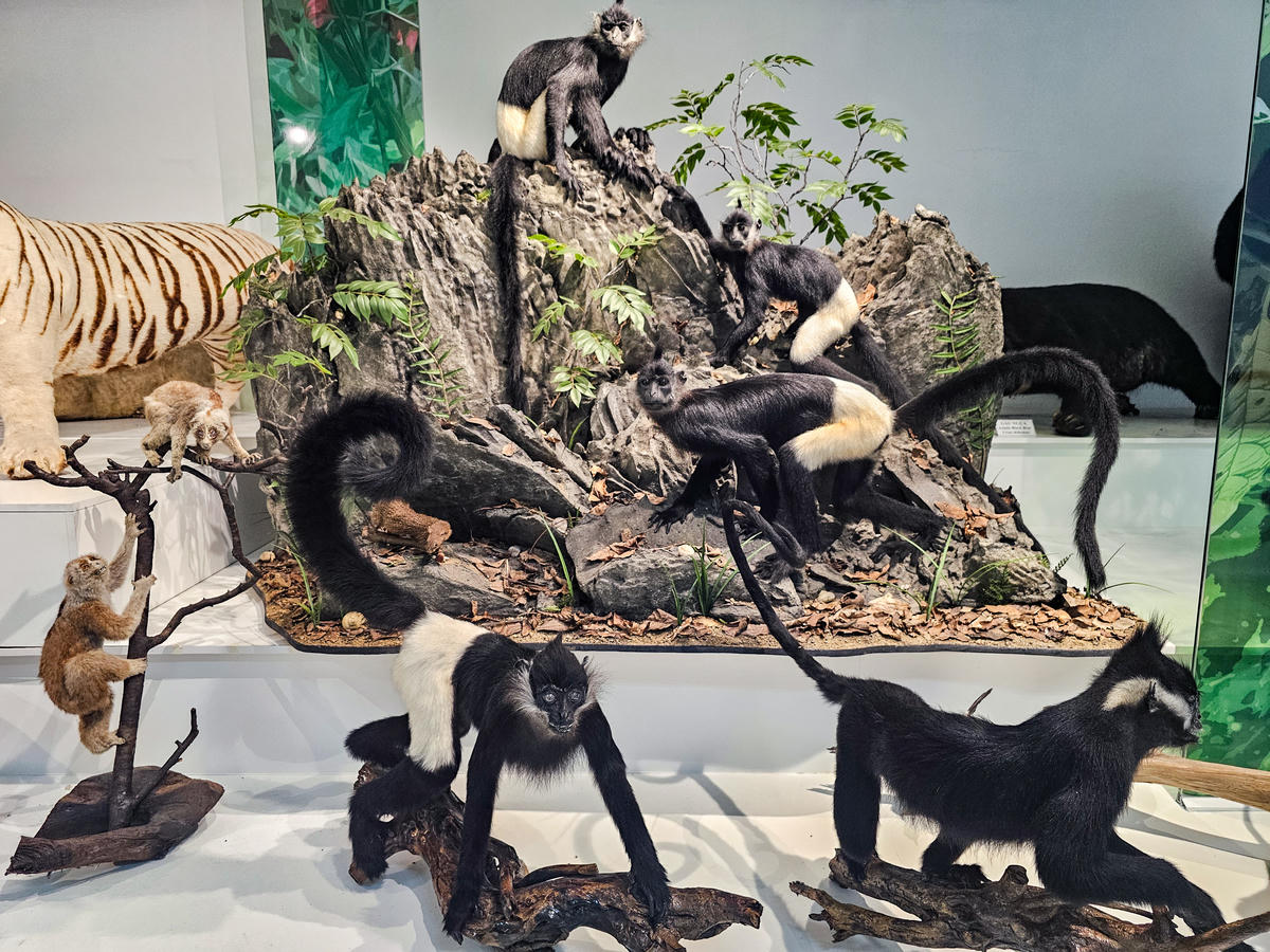 Về nơi lưu giữ bộ xương người tiền sử hơn 7.500 năm 