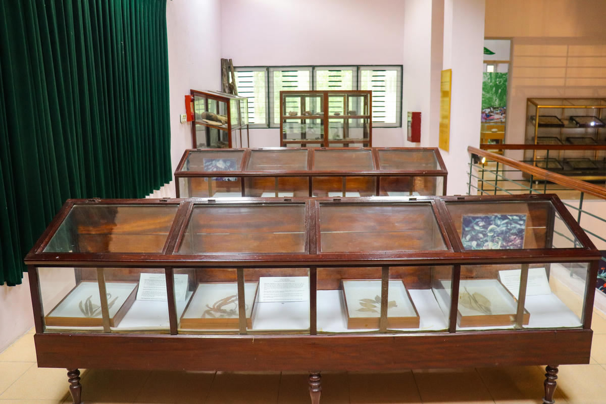 Chị Hoàng Thị Quyên - nhân viên bảo tàng Cúc Phương cho biết, bảo tàng được thành lập năm 1973. Đến tháng 8/2020, bảo tàng chính thức mở cửa đón khách tham quan. Ảnh: Đình Minh&nbsp;