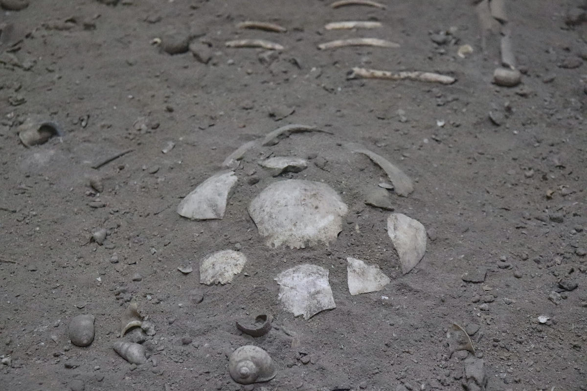 Theo chị Quyên, điều đặc biệt nhất tại bảo tàng, là nơi đây đang lưu giữ bộ xương hóa thạch của người tiền sử đang nằm ôm gối cách đây khoảng hơn 7.500 năm. Ảnh: Đình Minh