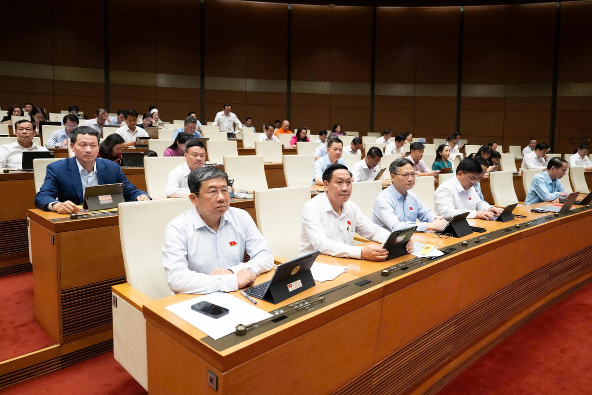 Các đại biểu tham dự phiên họp.