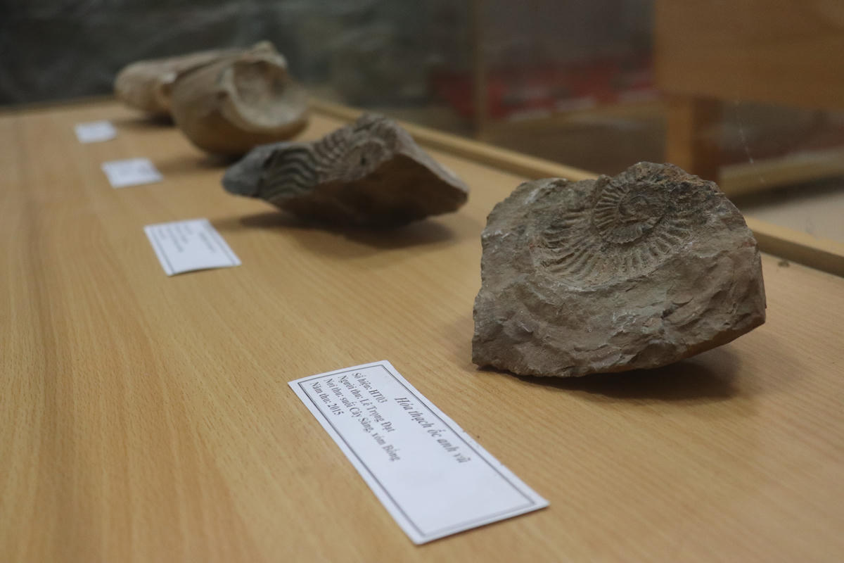 Điểm nổi bật nhất của bảo tàng là khối lượng và giá trị khoa học của các mẫu vật. Hiện tại, bảo tàng đang lưu giữ khoảng hơn 13.000 mẫu tiêu bản thực vật và nấm. Ảnh: Đình Minh