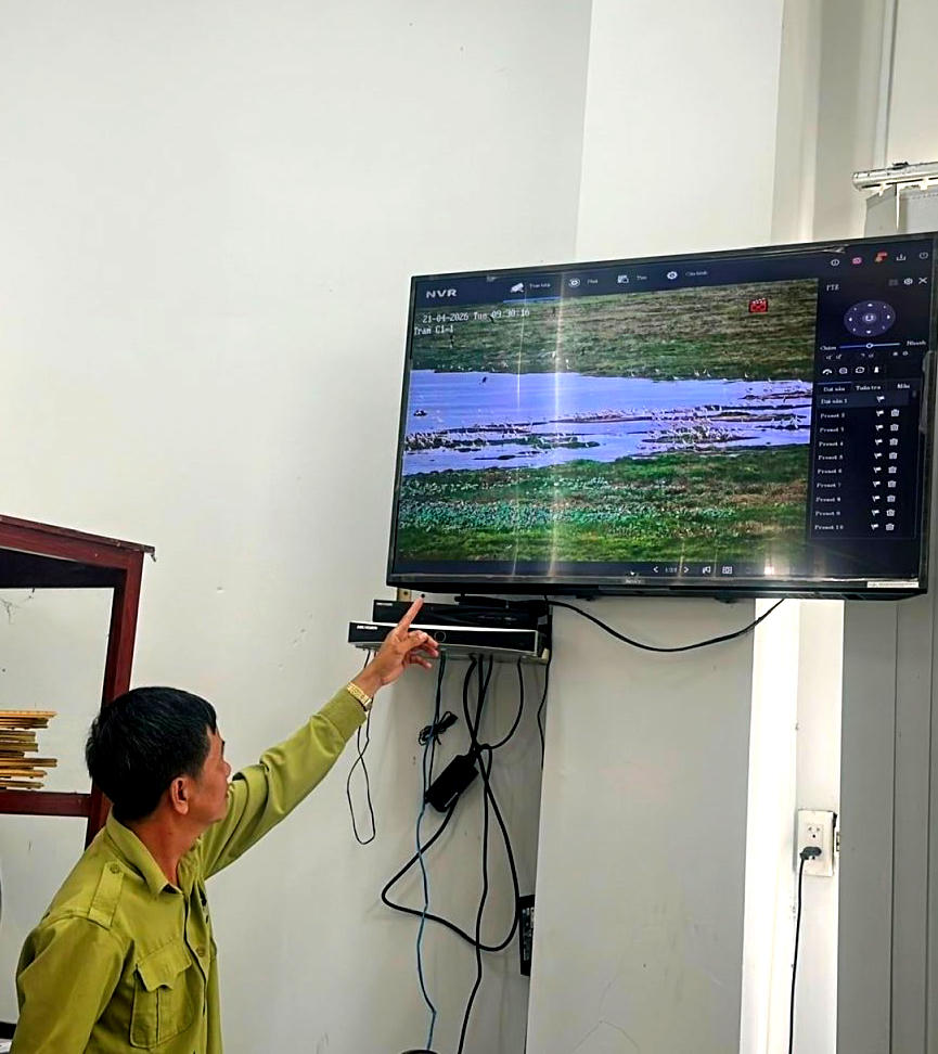 Ông Trần Nhựt Tân, Phó Trưởng phòng quản lý bảo vệ Phòng cháy chữa cháy rừng theo dõi camera giám sát rừng tràm tại trung tâm điều hành. (Ảnh: Trung Ngãi).