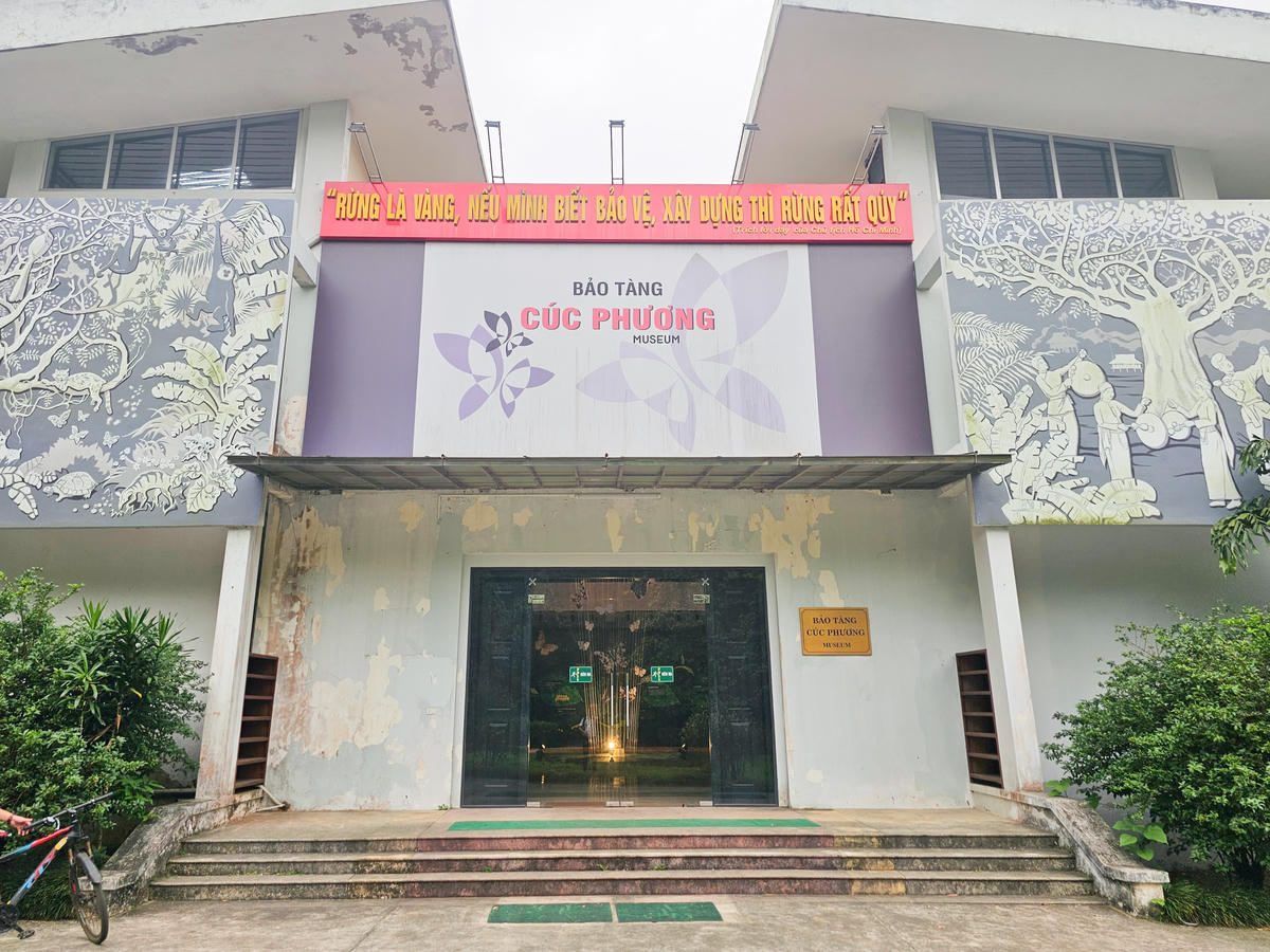 Nằm trong khuôn viên vườn quốc gia (VQG) Cúc Phương - VQG đầu tiên của Việt Nam, bảo tàng Cúc Phương được hình thành từ chính quá trình nghiên cứu khoa học và điều tra đa dạng sinh học của khu rừng nguyên sinh này. Ảnh: Đình Minh