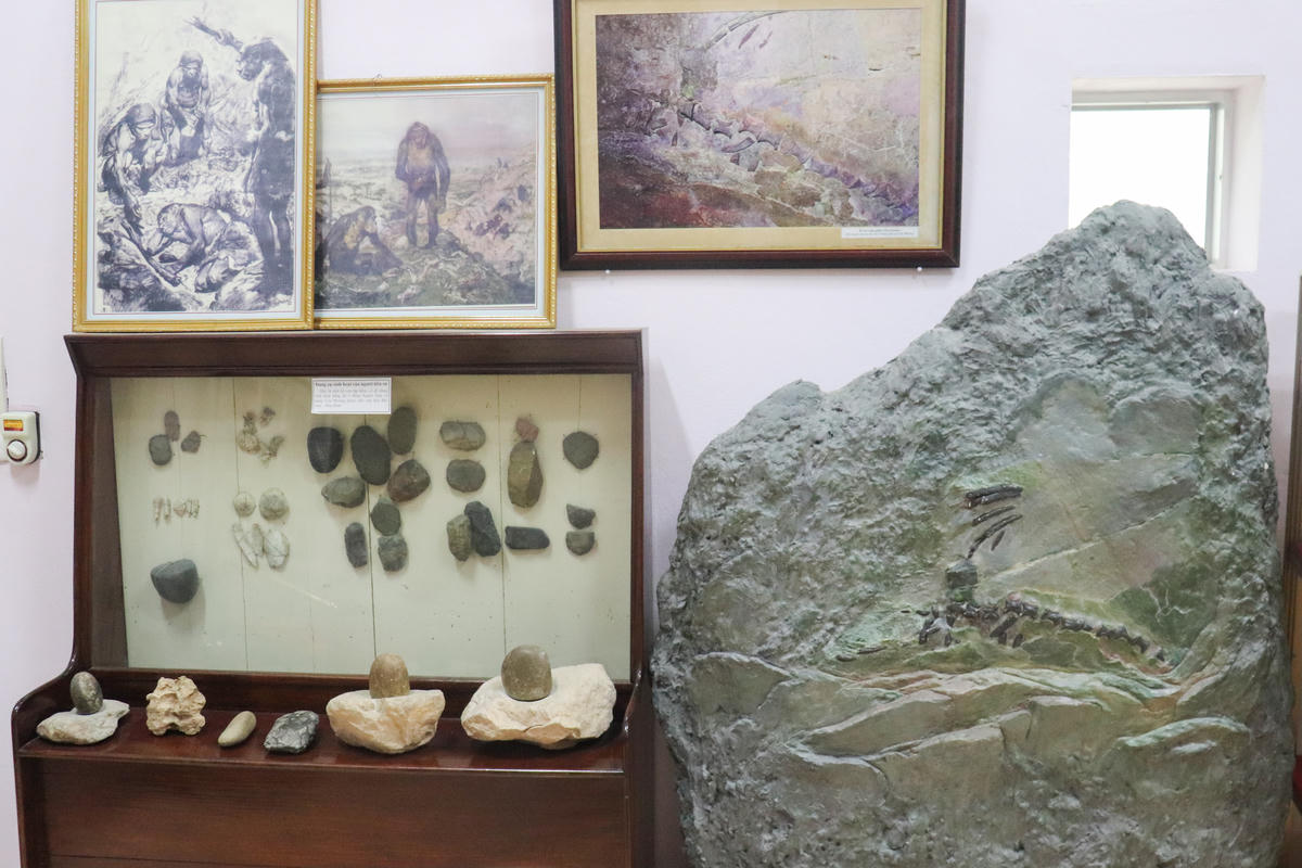 Không chỉ dừng lại ở việc lưu trữ, bảo tàng còn được tổ chức trưng bày theo tiến trình khoa học, từ sự hình thành Trái Đất đến quá trình tiến hóa và phát triển của sự sống. Ảnh: Đình Minh