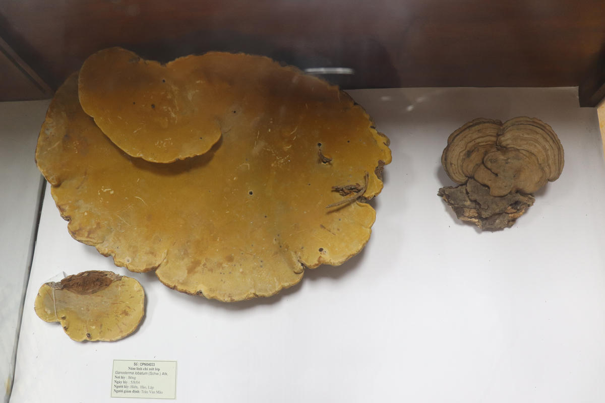 Về nơi lưu giữ bộ xương người tiền sử hơn 7.500 năm 