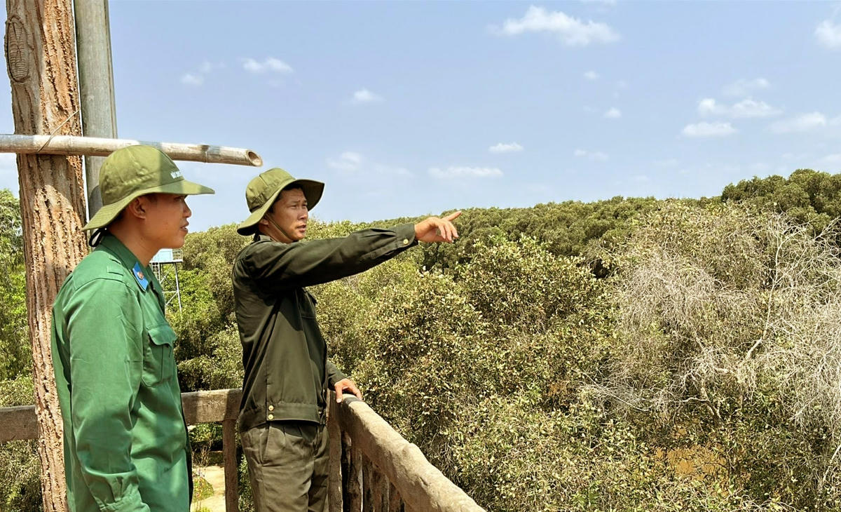 Lực lượng bảo vệ cơ động thuộc Phòng quản lý bảo vệ Phòng cháy chữa cháy rừng - Vườn Quốc gia Tràm Chim đang tuần tra từ đài quan sát. (Ảnh: Trung Ngãi).