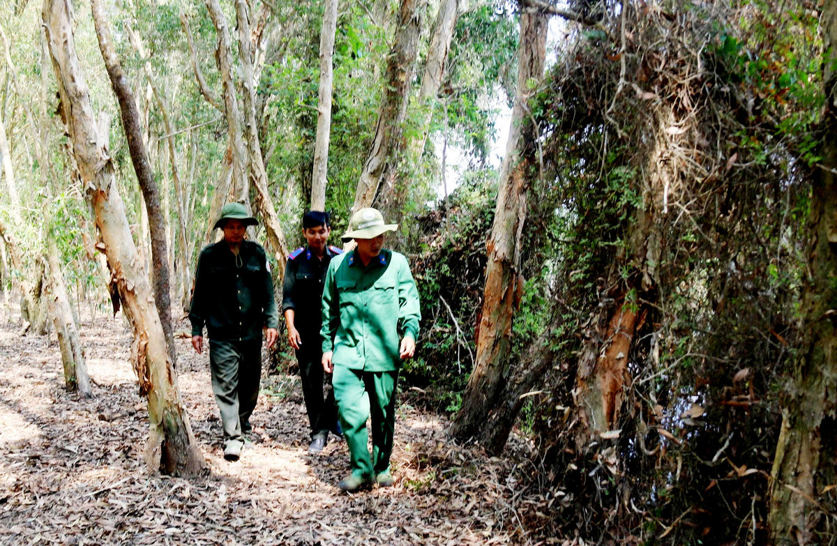 Công tác tuần tra tại Vườn quốc gia Tràm Chim diễn ra thường xuyên, liên tục. (Ảnh: Trung Ngãi).