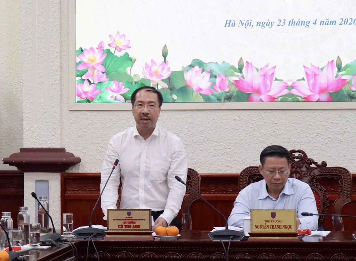 Cục trưởng Cù Thu Anh phát biểu tại cuộc họp.