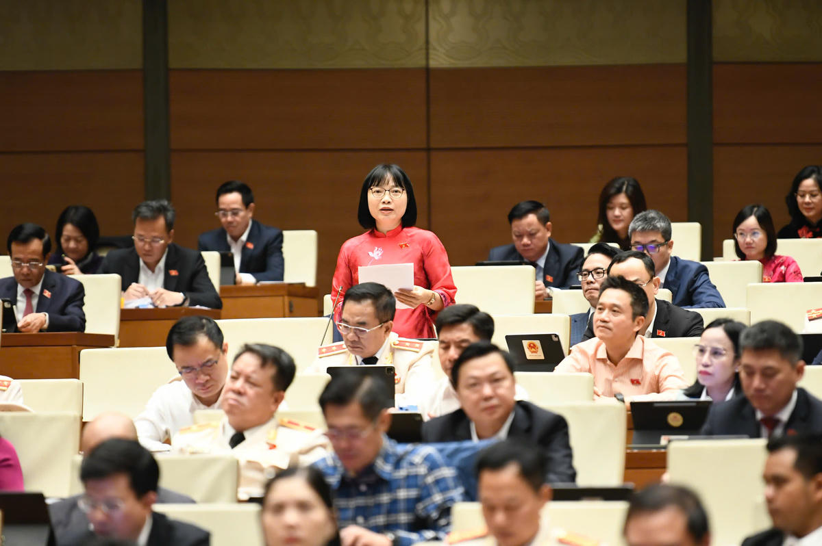 Đại biểu lo ngại tâm lý “mua chạy thuế” khi tăng thuế đối với xe điện từ năm 2031