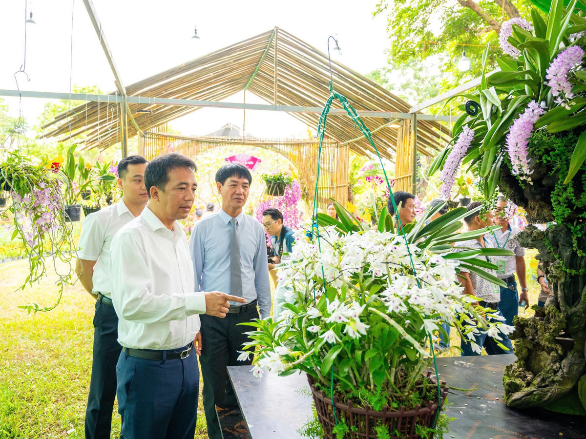 Ngày 24/4, Ban tổ chức Festival Huế và Trung tâm Bảo tồn Di tích Cố đô Huế tổ chức chương trình “Triển lãm, trưng bày phong lan, cây kiểng, đá cảnh ba miền năm 2026”, tại khu vực Đại Nội.