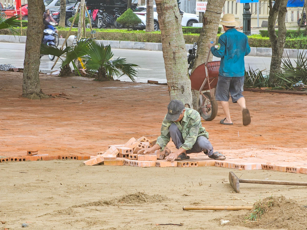 Phủ xanh bãi biển Sầm Sơn