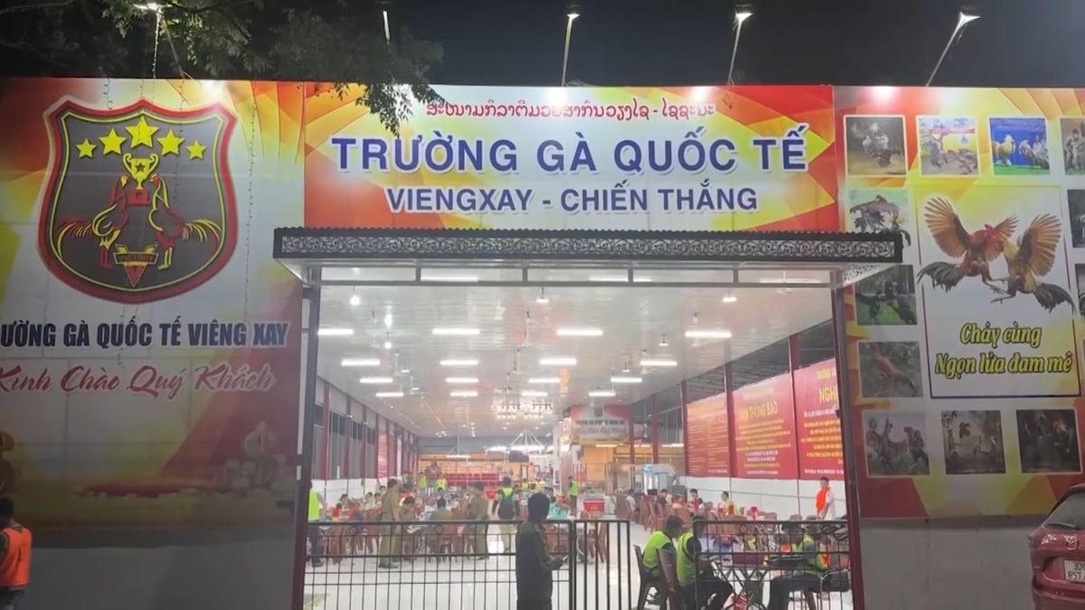 Trường gà quốc tế Viêng Xay, nơi tổ chức để đánh bạc. Ảnh: CATH