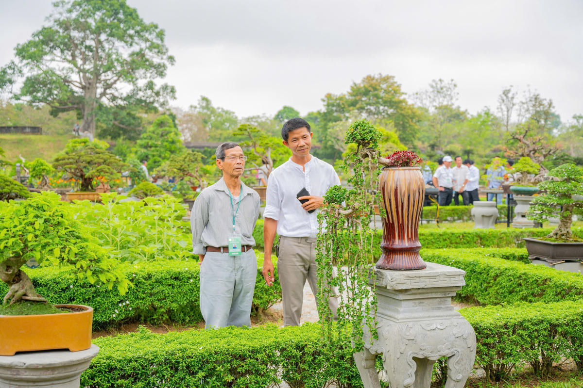 Du khách đang chiêm ngưỡng một tác phẩm bonsai với dáng thế rất đẹp được trưng bày tại triển lãm.