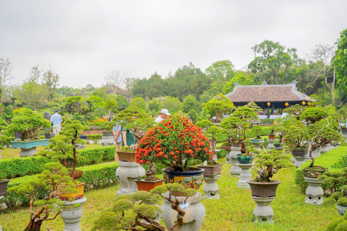 Trong đó, hơn 400 tác phẩm cây kiểng nghệ thuật và tiểu cảnh non bộ.