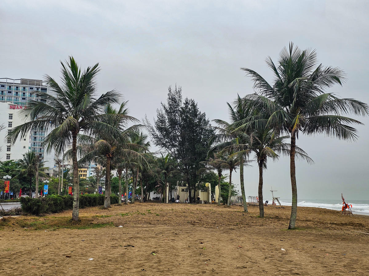 Ông Đức cho biết, doanh nghiệp dự kiến sẽ chi hàng tỷ đồng cho hoạt động này, chủ yếu để mua cây dừa, với thời gian hoàn thành vào cuối năm 2026. Trường hợp cây không đảm bảo sinh trưởng hoặc bị chết, phường sẽ yêu cầu trồng thay thế kịp thời. Ảnh: Đình Minh