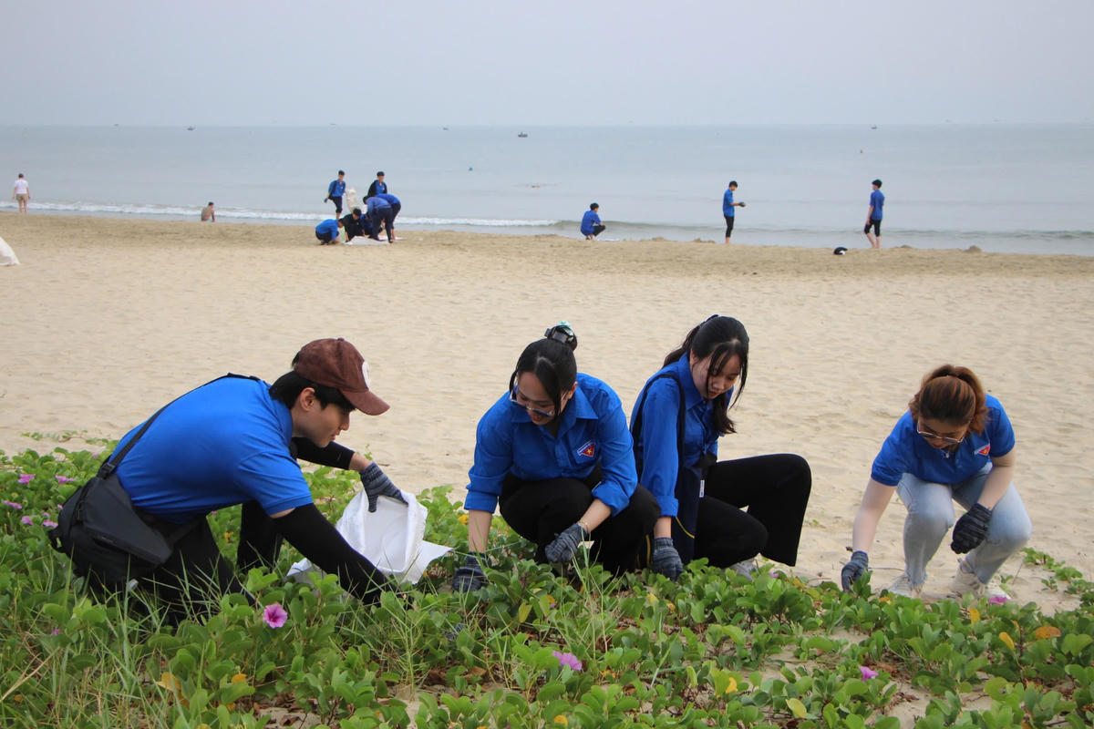 Hơn 600 tình nguyện viên dọn vệ sinh, làm đẹp vịnh Đà Nẵng