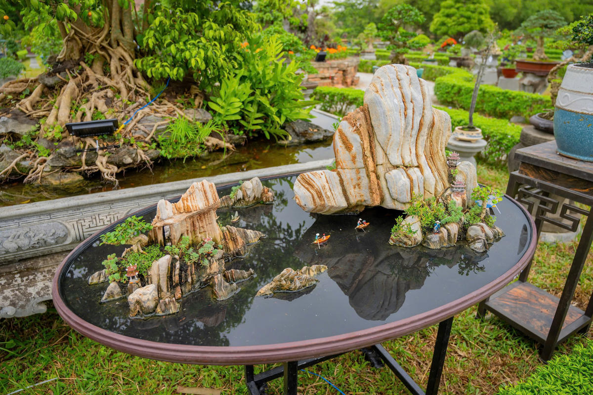 Ngắm hoa phong lan, cây bonsai, đá cảnh được trưng bày ở Đại Nội Huế