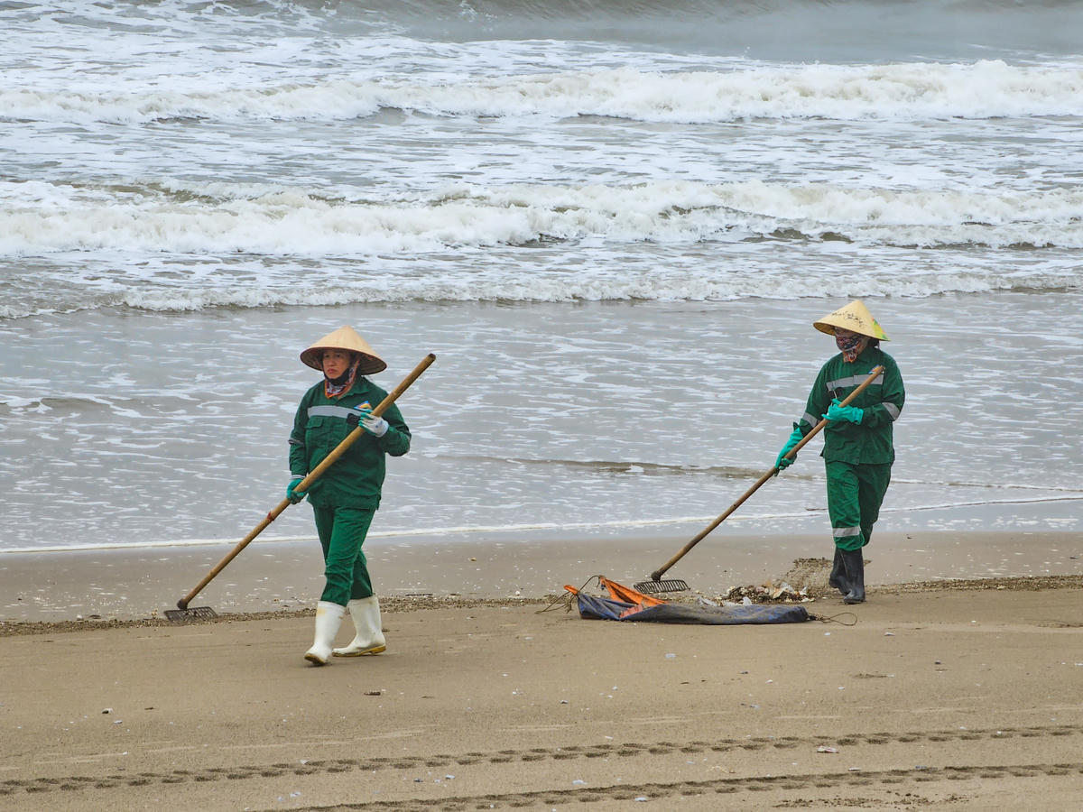 Theo ông Dũng, từ nay đến hết năm 2026, phường Sầm Sơn đặt mục tiêu trồng thêm gần 1.000 cây dừa, phi lao, phủ xanh các khoảng trống ven biển. Song song với đó, công tác vệ sinh môi trường, thu gom rác thải cũng được duy trì thường xuyên, góp phần giữ gìn bãi biển sạch đẹp. Ảnh: Đình Minh
