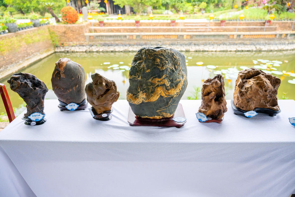 Cùng với&nbsp;hơn 50 tác phẩm đá cảnh nghệ thuật. Tất cả được bố trí tại các khu vực tiêu biểu trong Đại Nội như: vườn Thiệu Phương, Phủ Nội Vụ và vườn Cơ Hạ, tạo nên sự kết hợp hài hòa giữa nghệ thuật sinh vật cảnh và cảnh quan di sản cung đình.