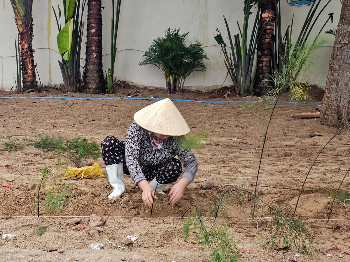 Nguồn kinh phí thực hiện do một doanh nghiệp vừa trúng đấu giá quyền khai thác dự án không gian du lịch phía Đông đường Hồ Xuân Hương đảm nhận. Ảnh: Đình Minh