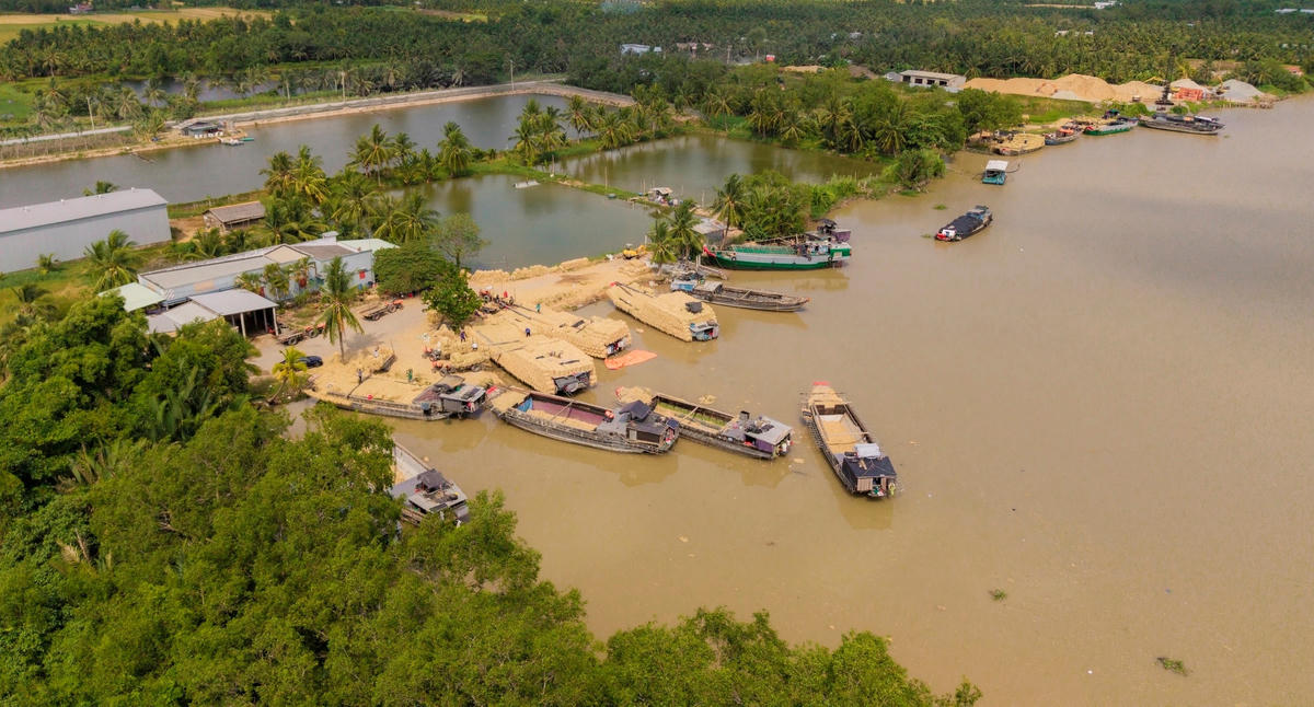 Chợ rơm cuộn Ba Lai “độc nhất miền Tây” nhìn từ trên cao. (Ảnh: Trí Trần).