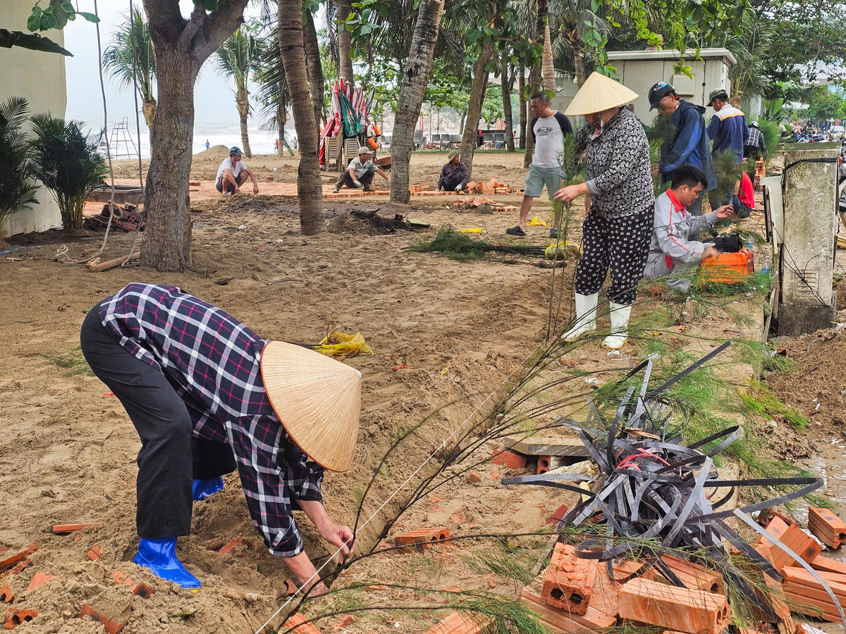 Ông Đặng Anh Đức - Trưởng phòng kinh tế - hạ tầng và đô thị phường Sầm Sơn cho biết: Ngày 23/4, địa phương đã tổ chức trồng cây xanh và dọn vệ sinh môi trường tại khu vực bãi biển. Hai loại cây chủ lực được lựa chọn là dừa và phi lao, trồng trên các bãi cát còn trống. Đây là những loại cây có khả năng thích nghi tốt với điều kiện thời tiết khắc nghiệt, chịu gió mạnh và góp phần chống xói lở hiệu quả. Ảnh: Đình Minh.