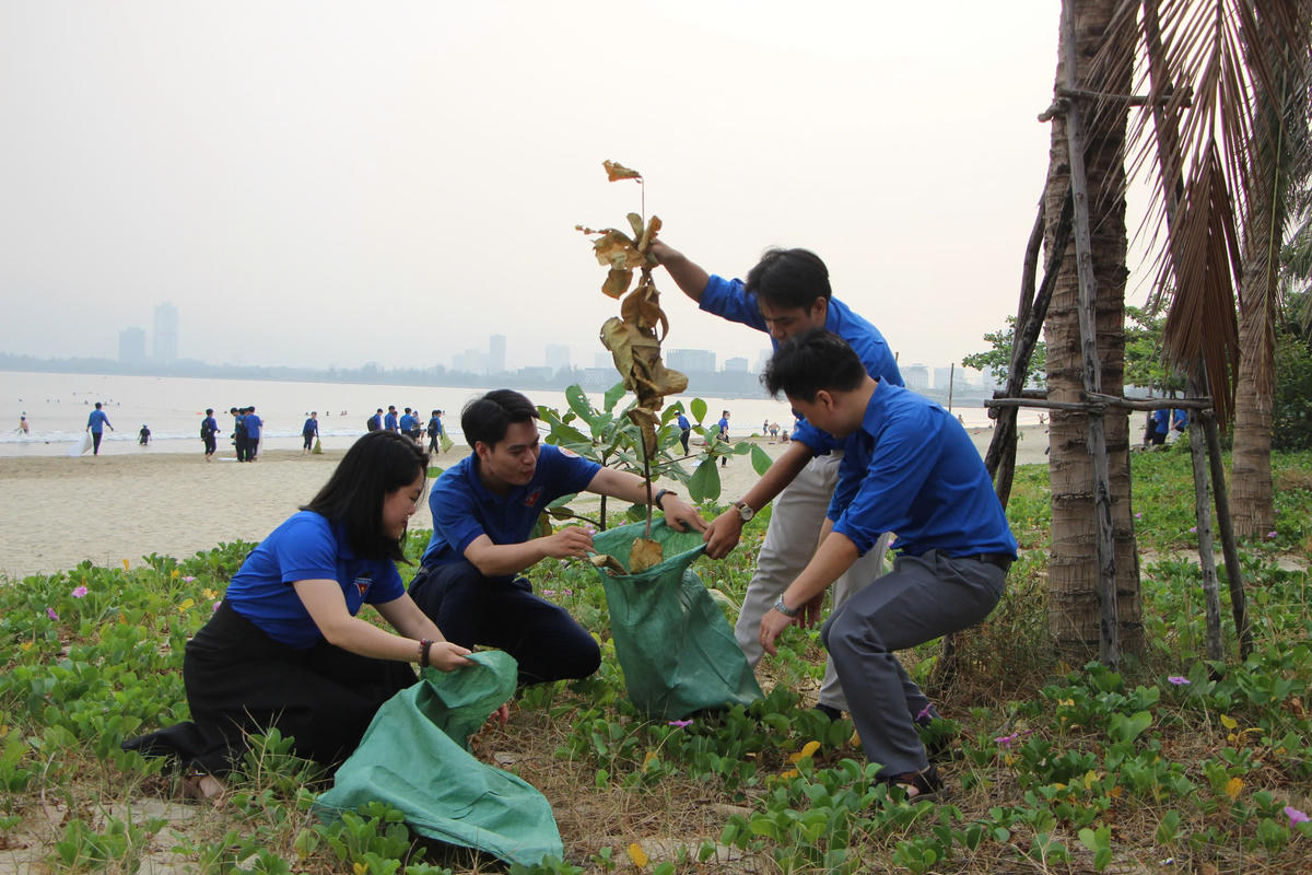 Hơn 600 tình nguyện viên dọn vệ sinh, làm đẹp vịnh Đà Nẵng