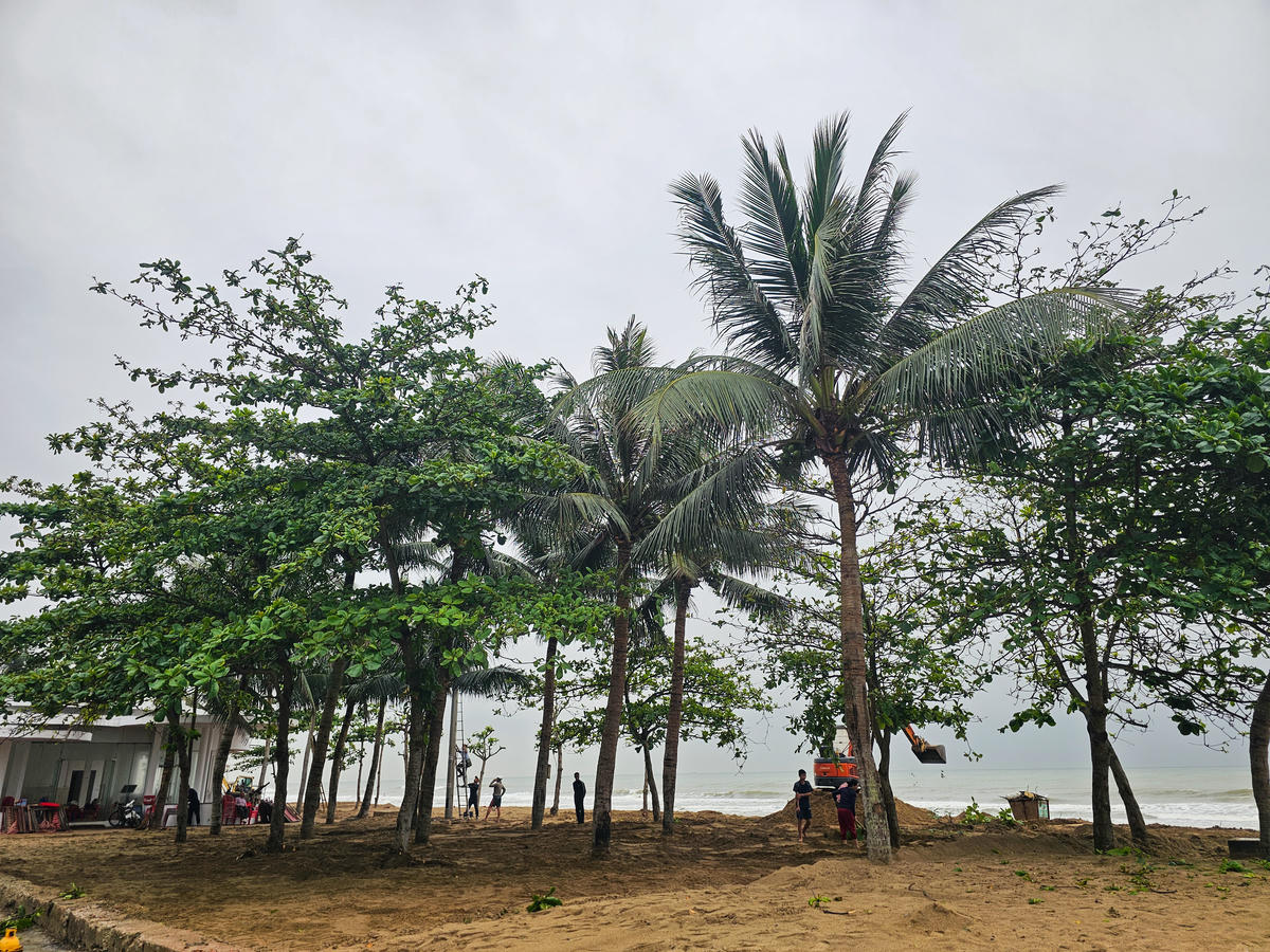 Ghi nhận của PV Báo Đại Đoàn Kết trong ngày ra quân 23/4, hàng chục cây dừa đã được trồng mới trên bãi cát, bước đầu tạo nên mảng xanh rõ nét. Hoạt động này không chỉ cải thiện cảnh quan mà còn góp phần chuẩn bị cho lễ hội du lịch biển diễn ra ngày 25/4, mở đầu cho mùa du lịch biển Sầm Sơn 2026 với kỳ vọng thu hút đông đảo du khách. Ảnh: Đình Minh