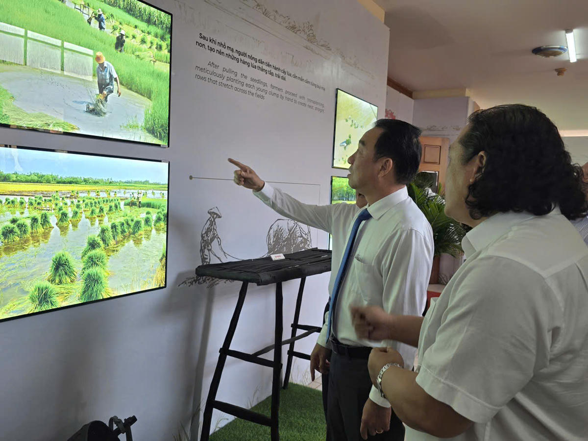 Bảo tàng lúa nước Cà Mau sẽ tập trung phản ánh về ý chí, nghị lực và sự thích ứng của người nông dân trên vùng đất lợ và đất mặn, gắn việc trưng bày hiện vật công cụ sản xuất với triển lãm mỹ thuật, nhiếp ảnh về đề tài cây lúa, nghề nông, quá trình chinh phục thiên nhiên, văn hóa sông nước. Ảnh: Nguyên Du.